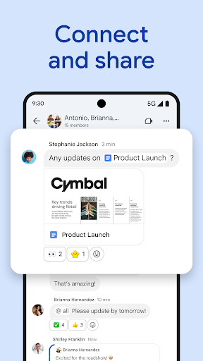 Google Chat screenshot 12