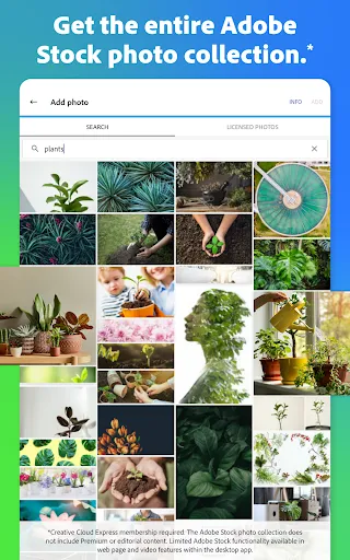 Adobe Express screenshot 21