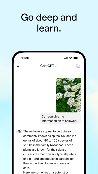 ChatGPT screenshot 4