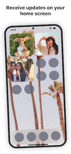 Widgetshare screenshot 8