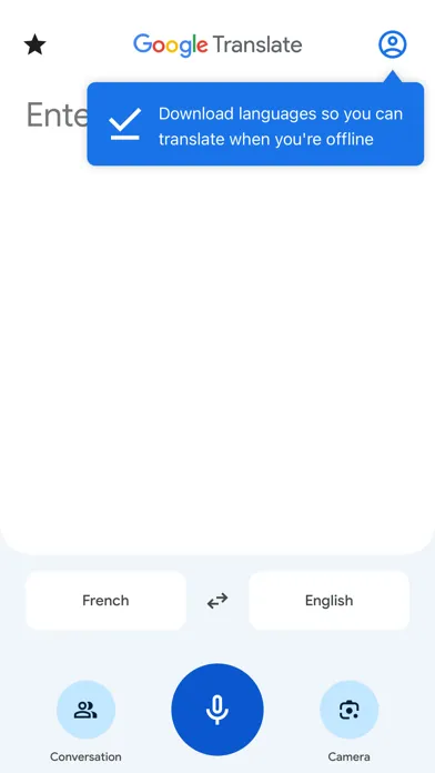 Google Translate screenshot 3