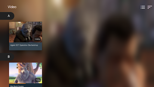 VLC media player screenshot 30