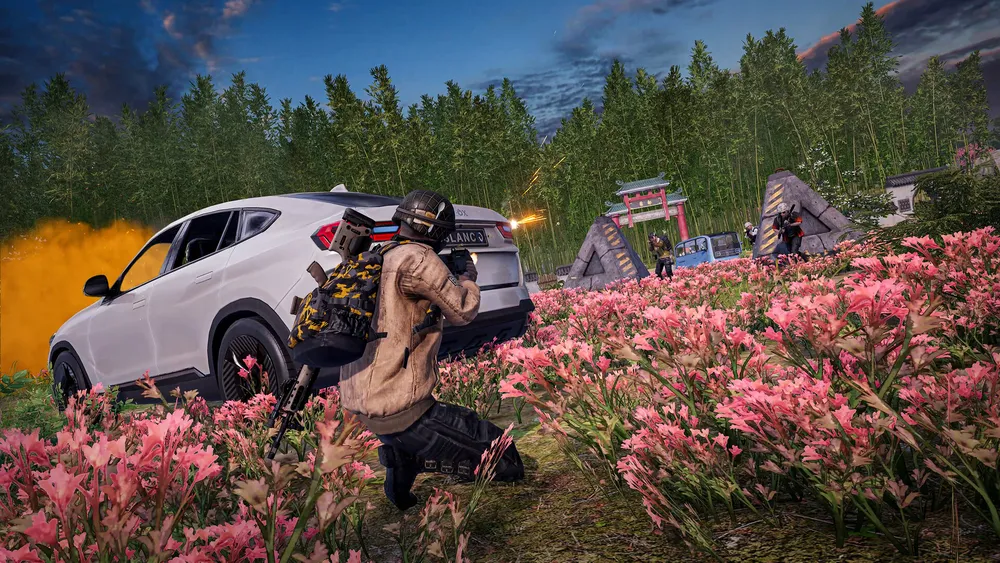 PUBG: BATTLEGROUNDS screenshot 9