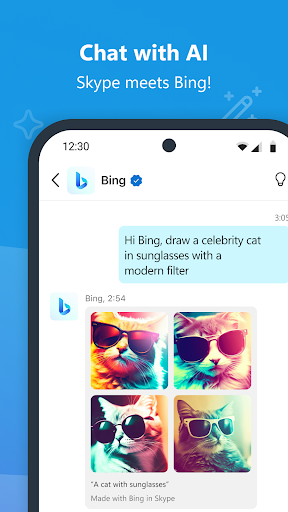 Skype screenshot 8