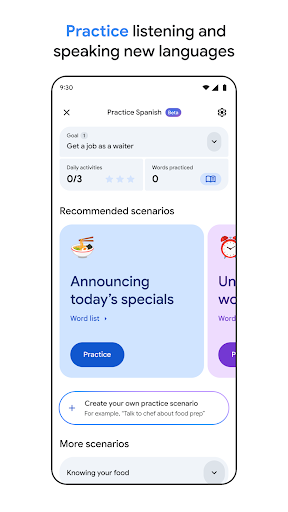 Google Translate screenshot 11