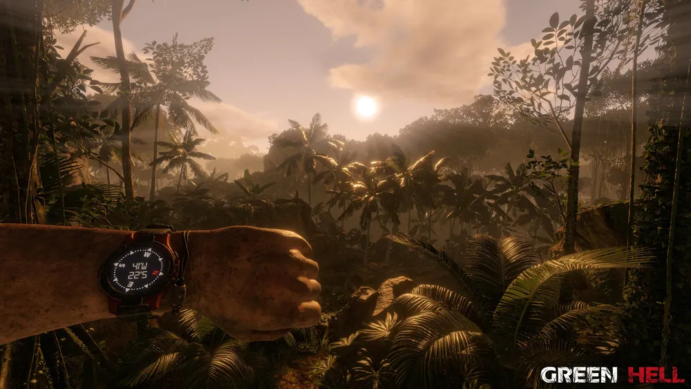 Green Hell screenshot 19
