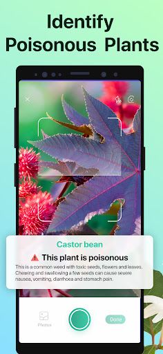 PictureThis - Plant Identifier screenshot 14
