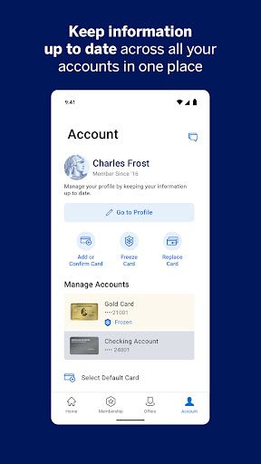 Amex screenshot 12