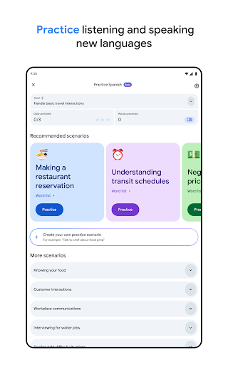 Google Translate screenshot 17