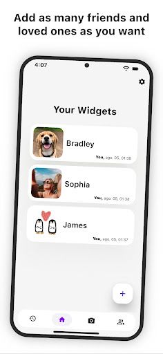 Widgetshare screenshot 9