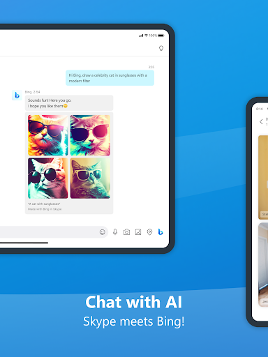 Skype screenshot 19