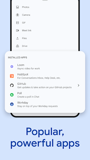 Google Chat screenshot 13