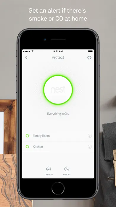 Nest screenshot 5