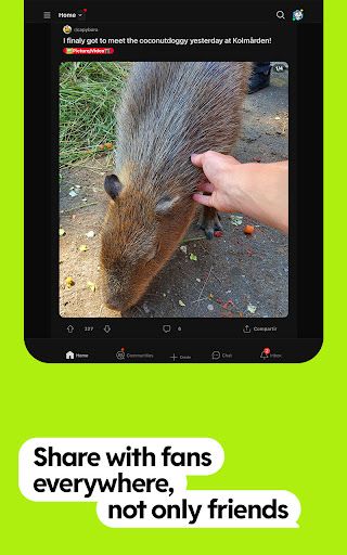 Reddit screenshot 17