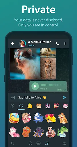 Telegram screenshot 8