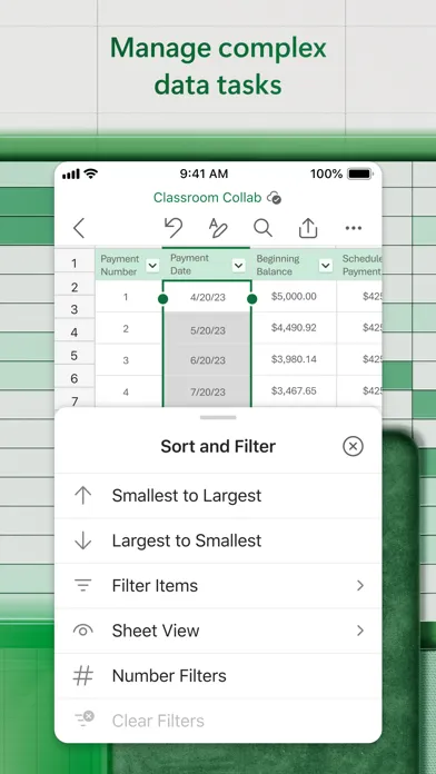 Microsoft Excel screenshot 4