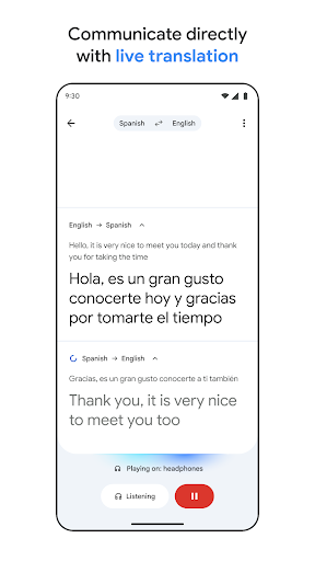 Google Translate screenshot 9