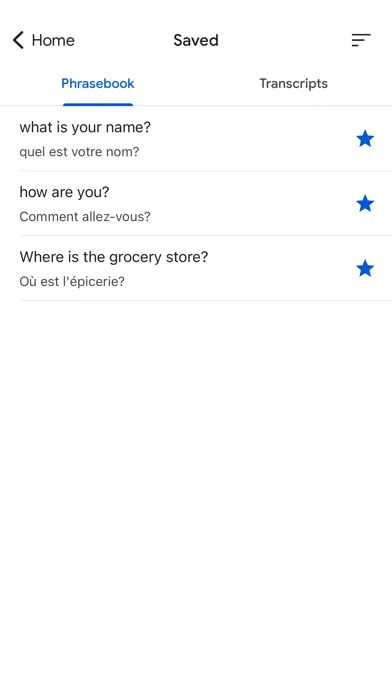 Google Translate screenshot 2