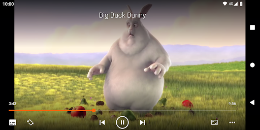 VLC media player screenshot 6