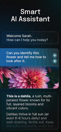 AI Chatbot - Nova screenshot 18