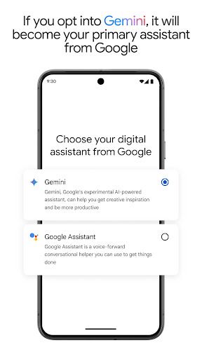 Google Gemini screenshot 7