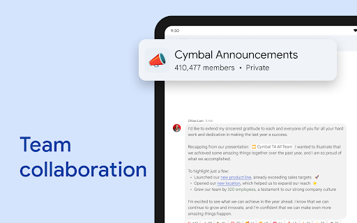 Google Chat screenshot 17