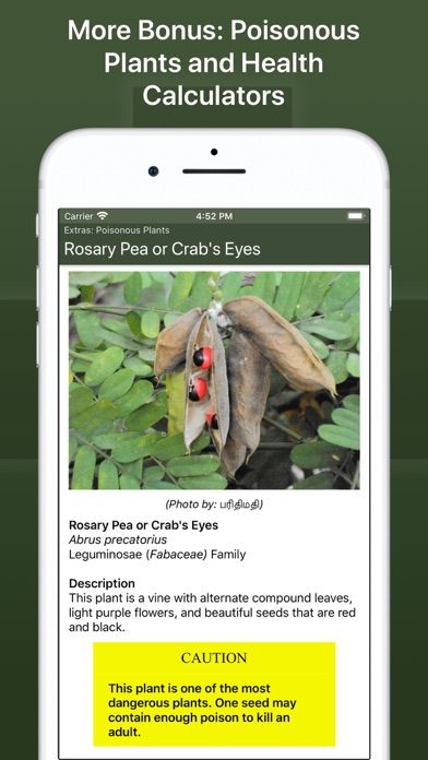 Army First Aid screenshot 10