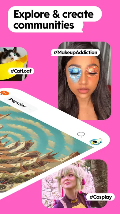 Reddit screenshot 2