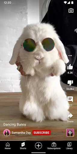 YouTube screenshot 7