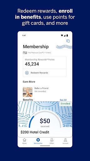 Amex screenshot 18