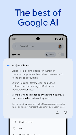 Google Chat screenshot 8