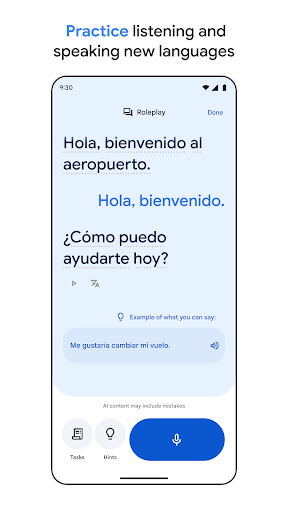 Google Translate screenshot 12