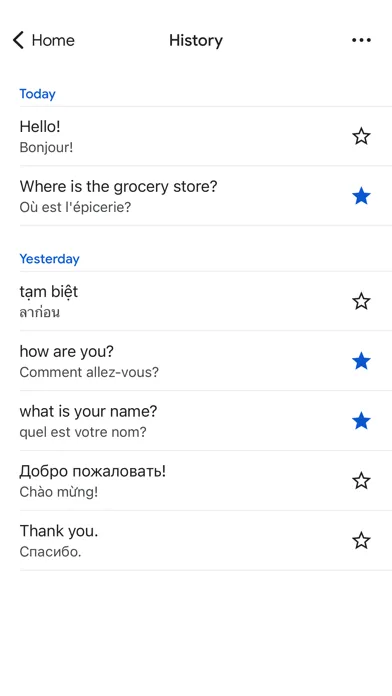 Google Translate screenshot 1