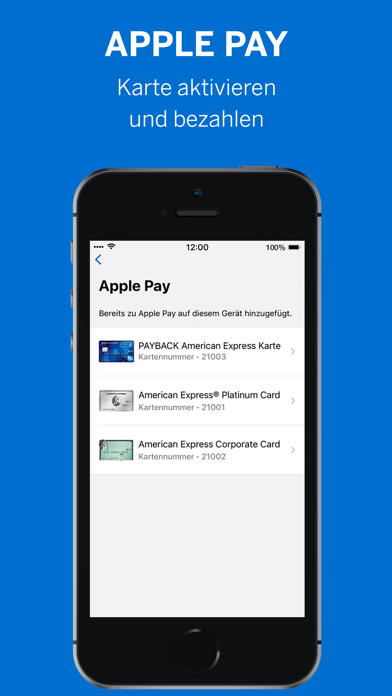 Amex screenshot 5