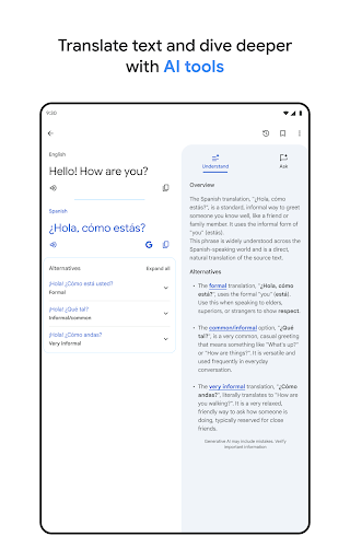Google Translate screenshot 13