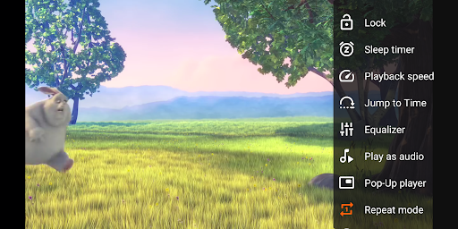 VLC media player screenshot 11