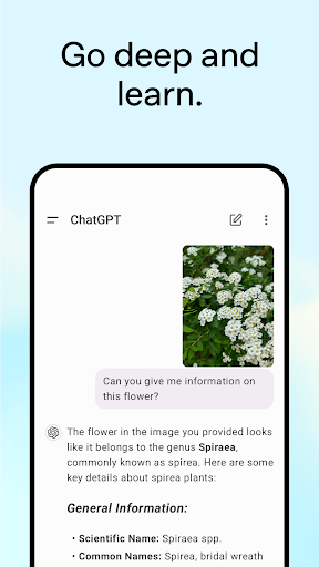 ChatGPT screenshot 10
