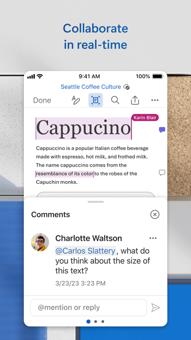 Microsoft Word screenshot 7