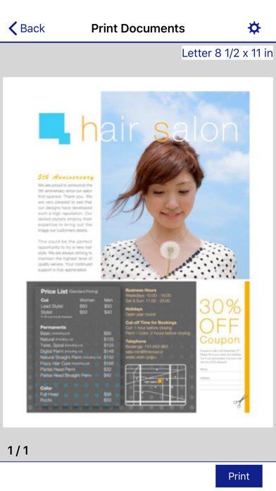 Epson iPrint screenshot 2