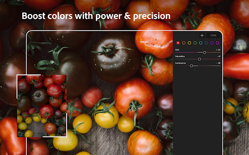 Lightroom Photo & Video Editor screenshot 23