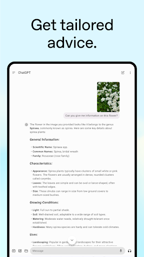 ChatGPT screenshot 23