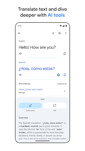 Google Translate screenshot 7