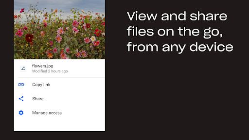 Dropbox: Secure Cloud Storage screenshot 15