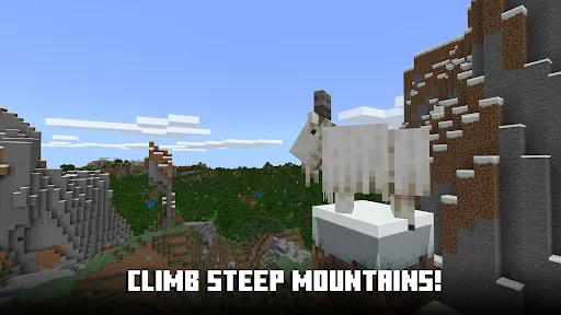 Minecraft screenshot 18