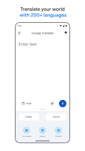 Google Translate screenshot 10