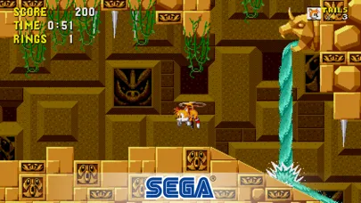 Sanic the Hedgshog Classic screenshot 3