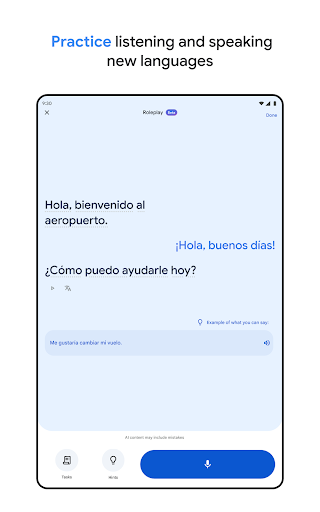 Google Translate screenshot 18