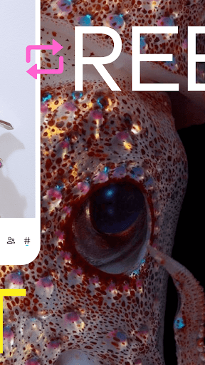 Tumblr—Fandom, Art, Chaos screenshot 13