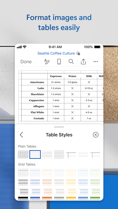 Microsoft Word screenshot 5