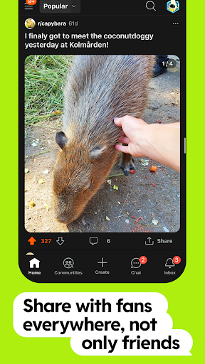 Reddit screenshot 11